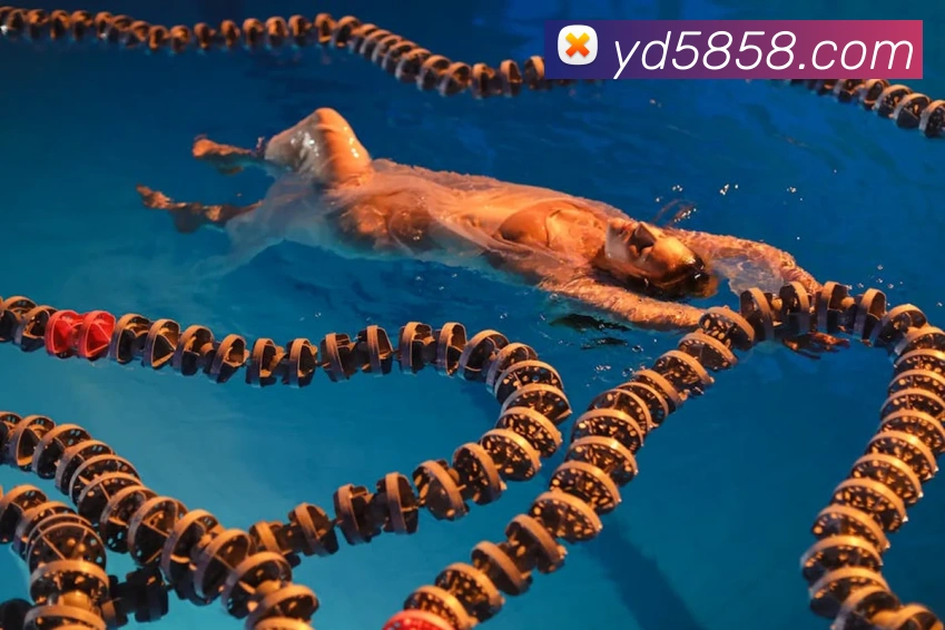 体育赛事